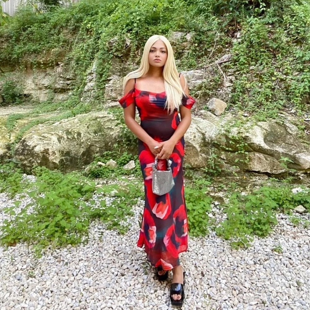 COPY - Sheer Print Maxi Dress
